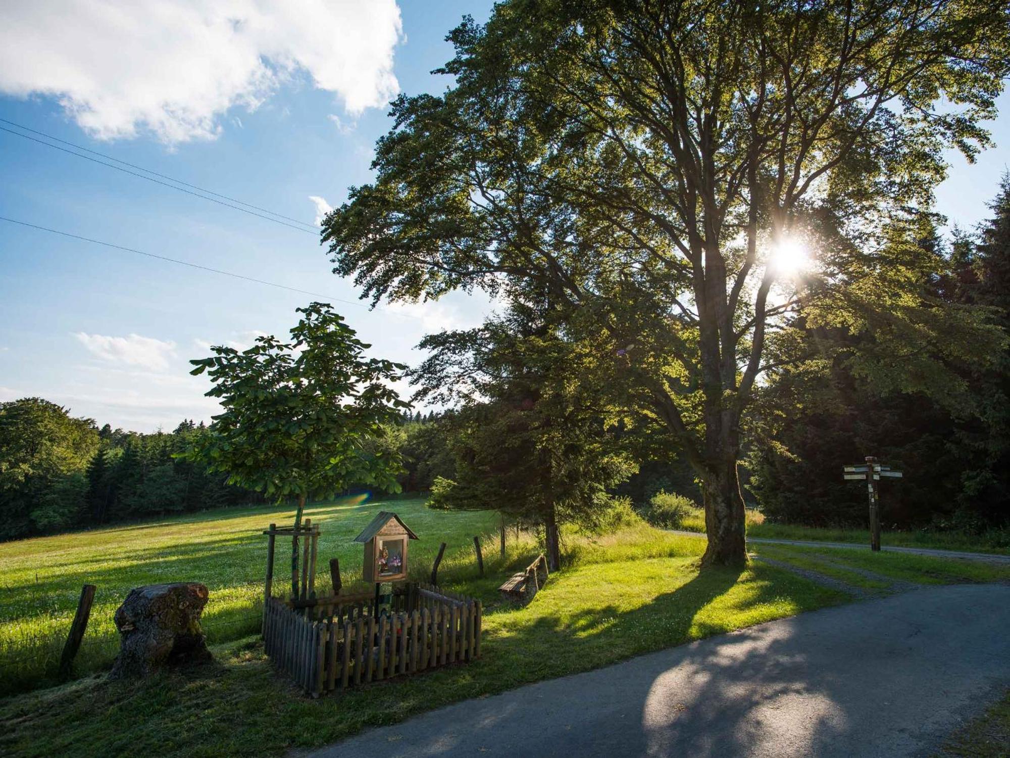 Ferienwohnung Zur Basemicke Schmallenberg Esterno foto